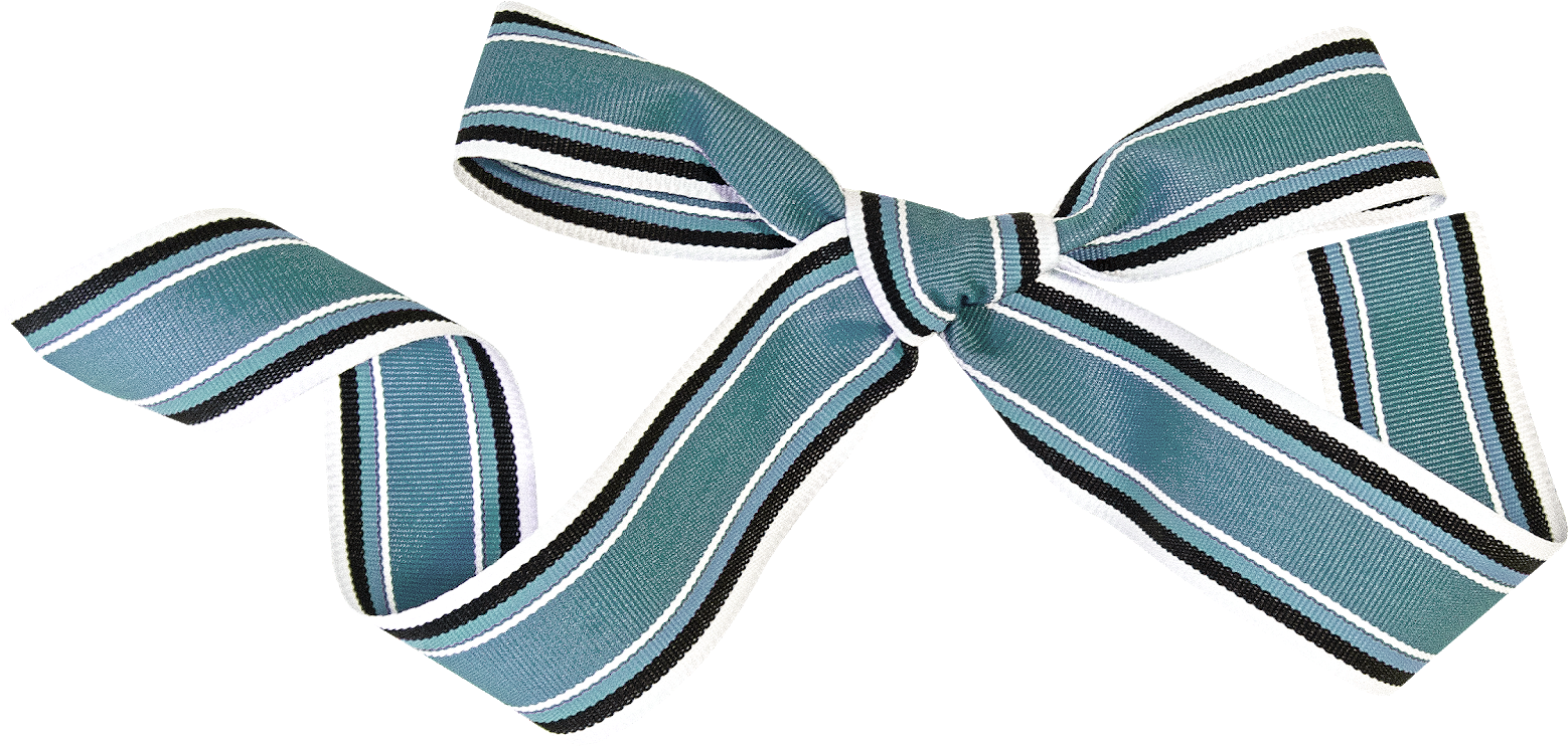 Pilot Bears Clipart - Pattern - Png Download (1600x782), Png Download