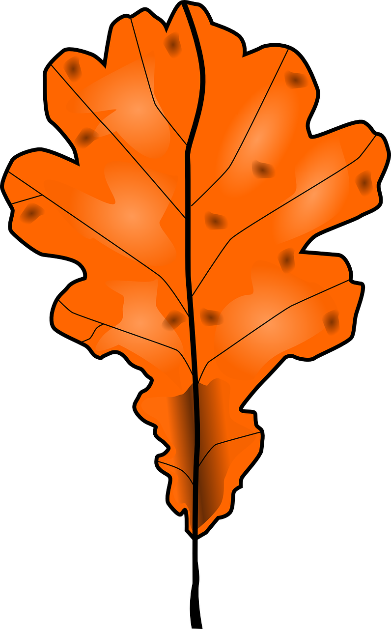 Brown Fall Leaf Vector Clip Art - Dead Leaves Clipart - Png Download (600x600), Png Download