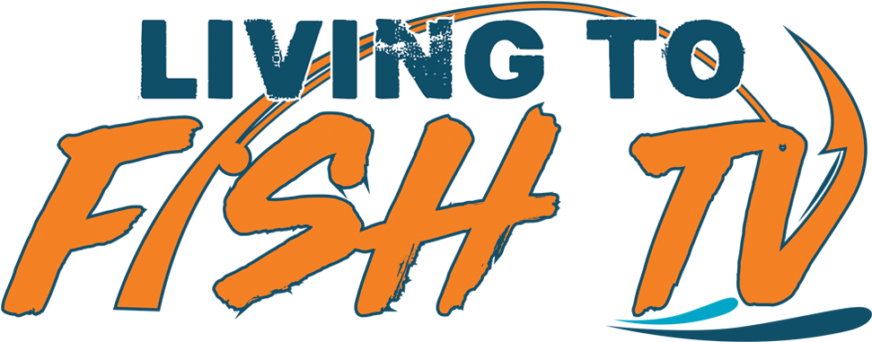 Clip Art - Png Download (977x450), Png Download