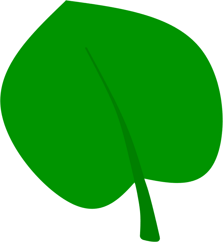 Green Leaf Clipart - Png Download (740x800), Png Download