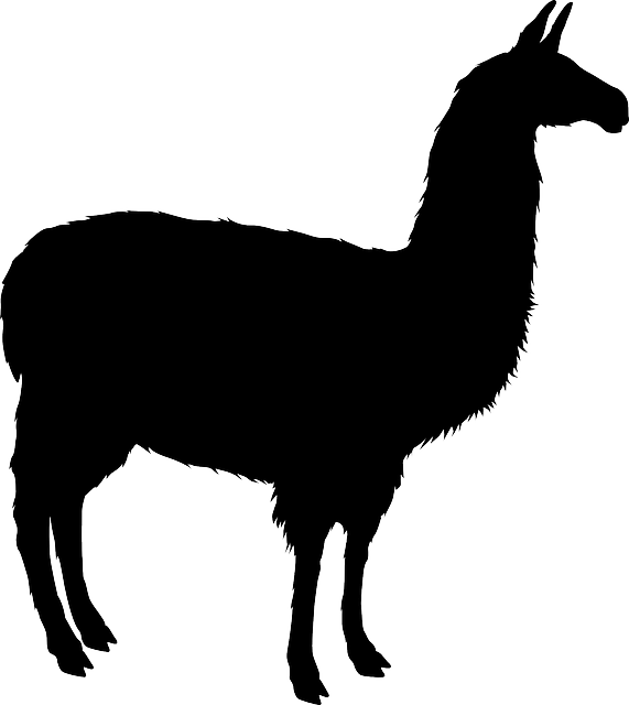 Llama Clipart Inca - Llama Silhouette Png Transparent Png (571x640), Png Download