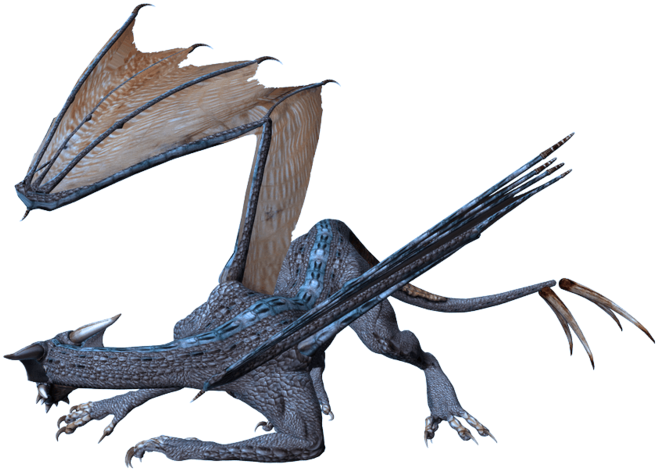 Dragon 3d Png Clipart (800x600), Png Download