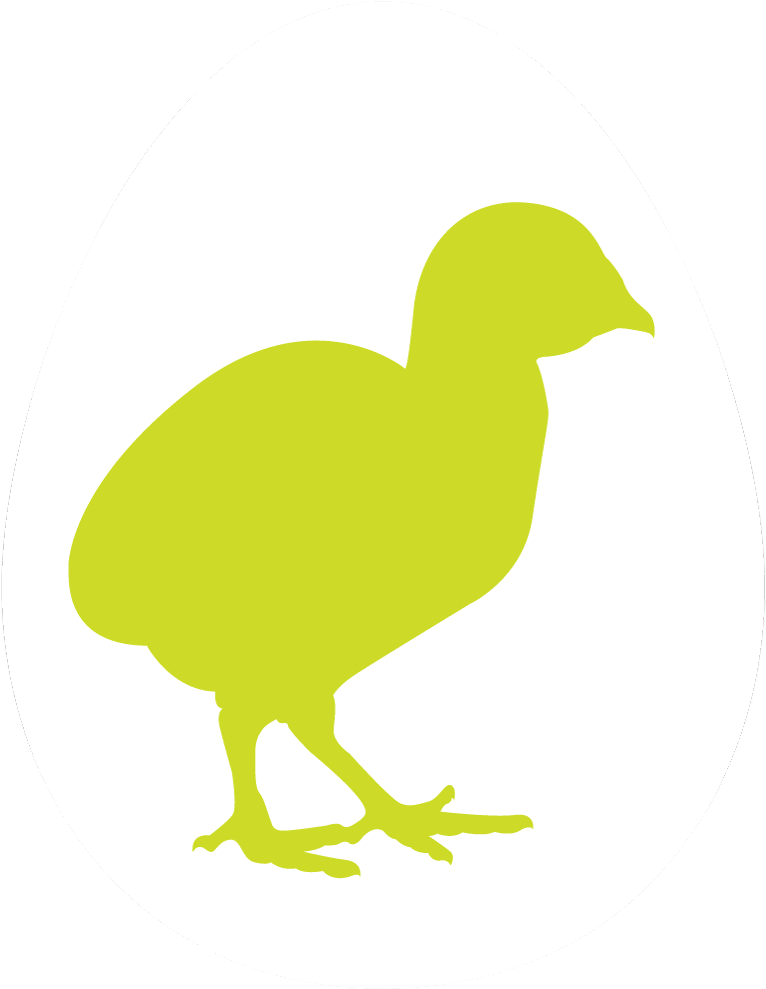 Duck Clipart (1000x1005), Png Download