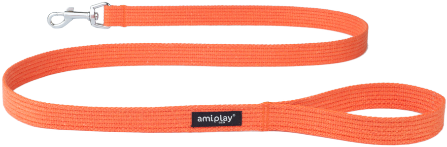 Leash Png - Strap Clipart (1000x1000), Png Download