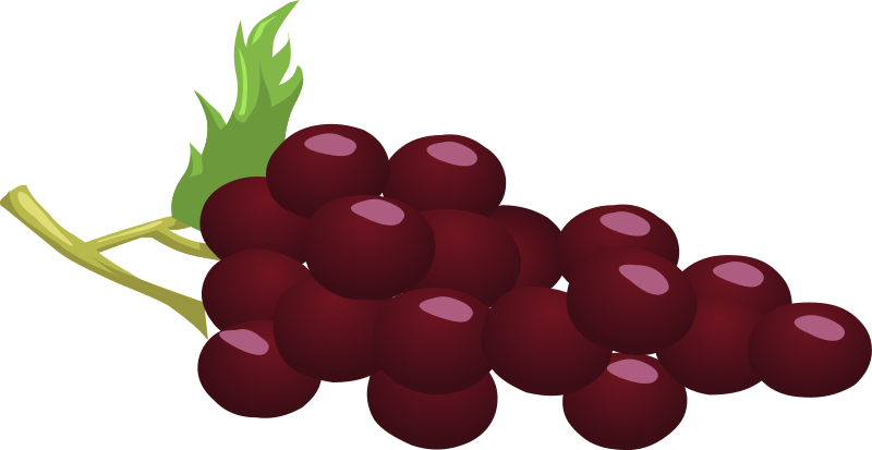 Grapes Fresh Grapes Png - Red Grape Clipart Png Transparent Png (800x413), Png Download