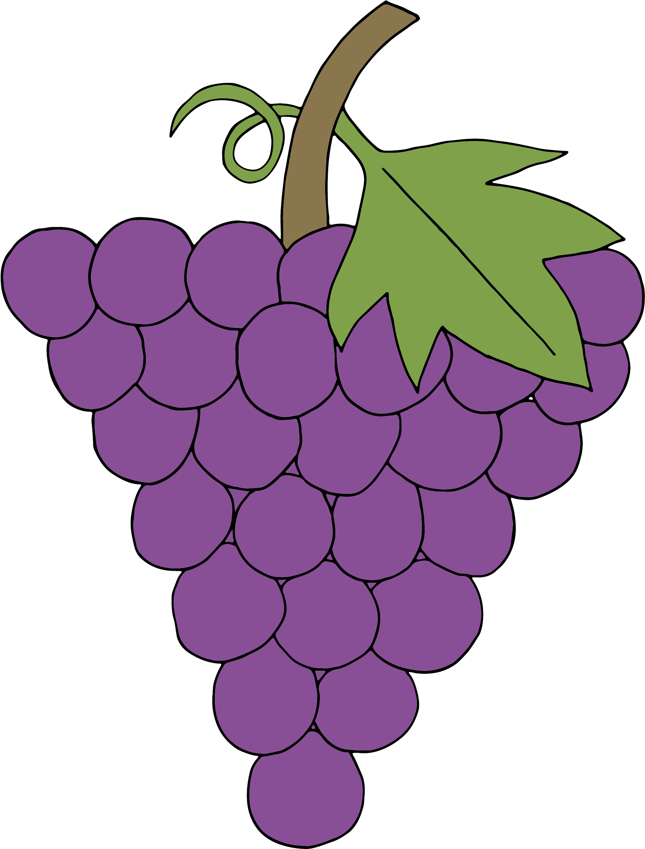 Transparent Grape Clipart - Grape - Png Download (2062x2714), Png Download