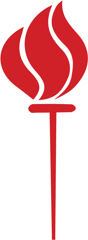 Torch Clipart (800x800), Png Download