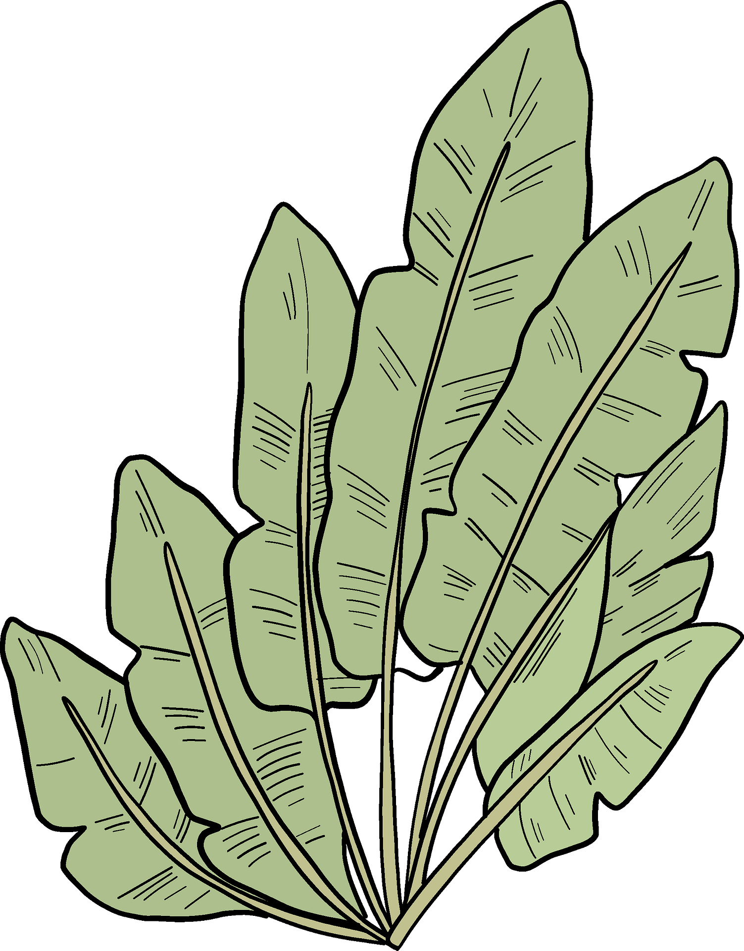 Illustration Clipart (1503x1920), Png Download