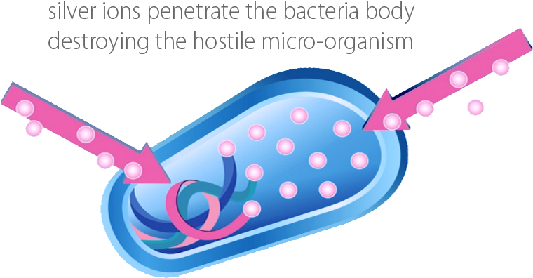 Silver Ions Kill Bacteria Clipart (796x434), Png Download