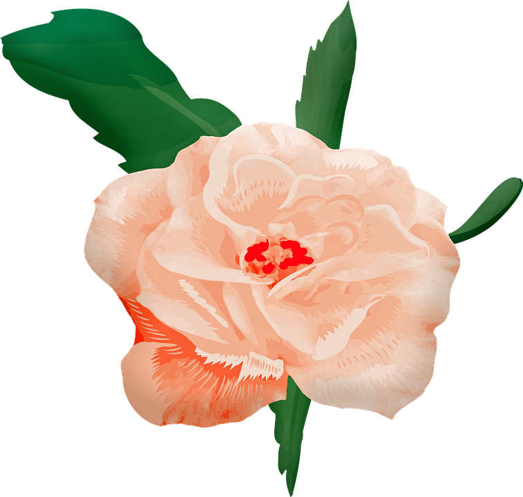 Rosa En Acuarela Png Clipart (757x720), Png Download