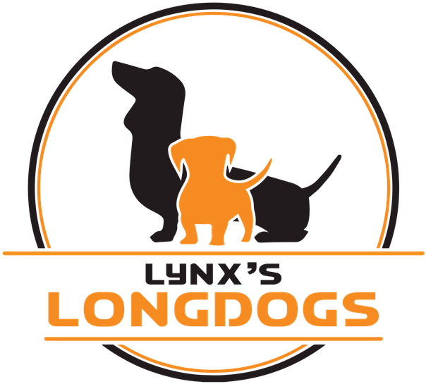 Clip Art - Png Download (640x583), Png Download