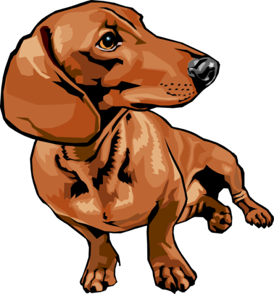 Dachshund Png33 - Fondos De Pantalla De Perro Salchicha Clipart (548x588), Png Download