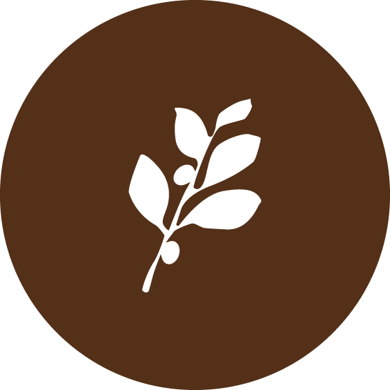 Salon Clip Natural Hair - Circle - Png Download (565x565), Png Download