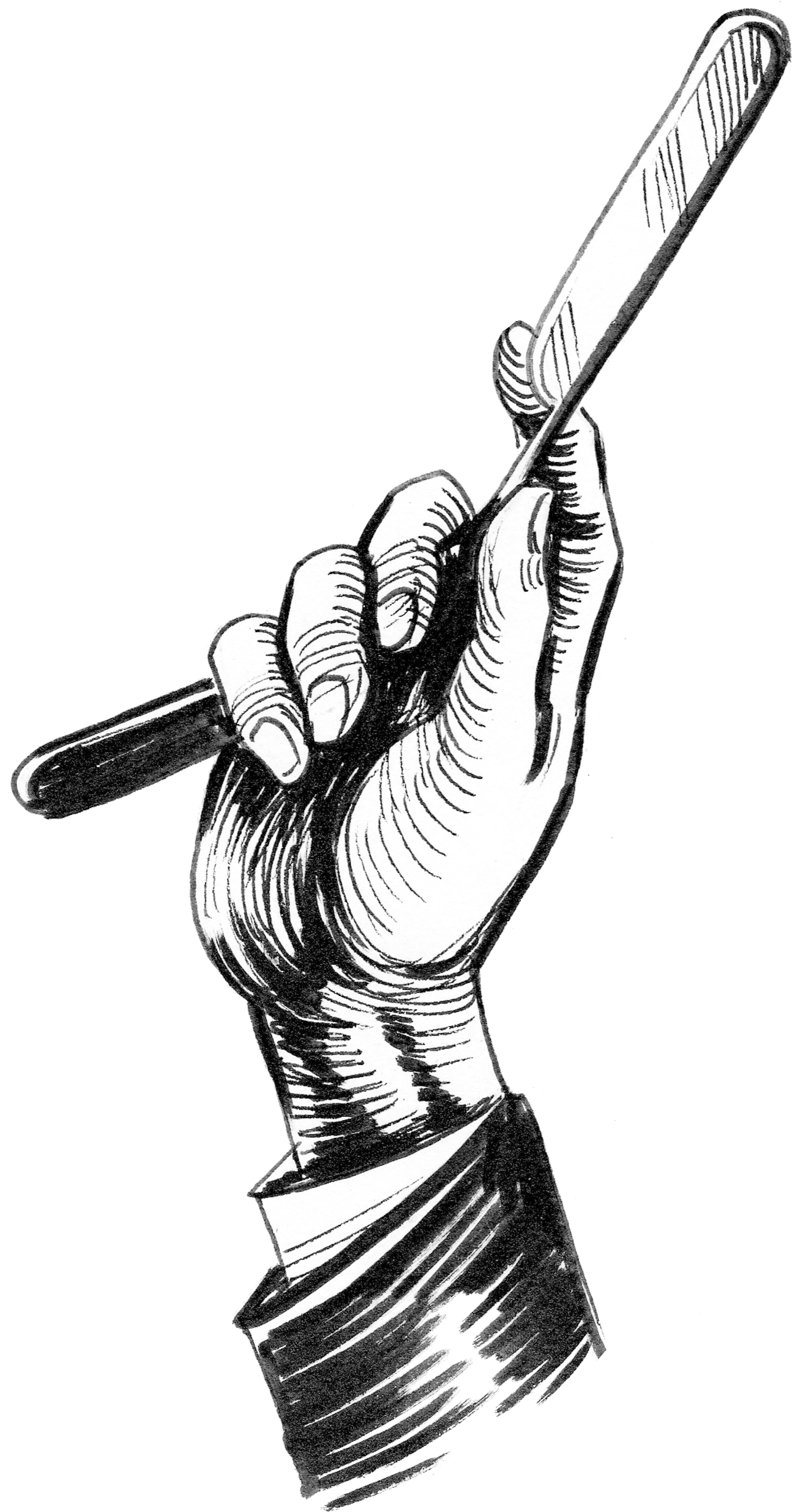 Illustration Clipart (1848x3278), Png Download