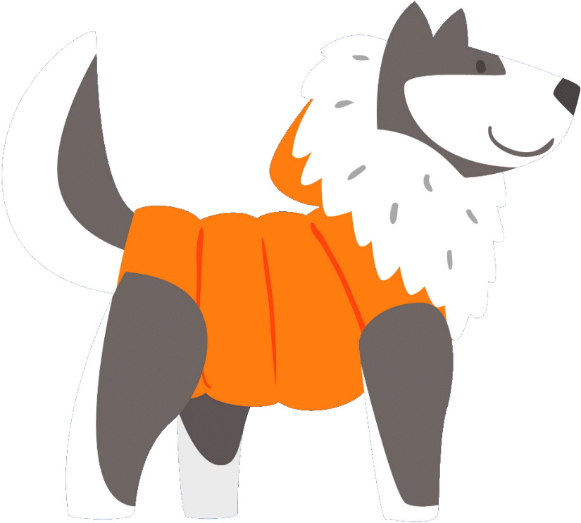 Clothing Clipart (900x900), Png Download