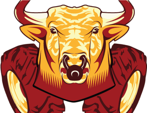 Thumb Image - Bull Clipart (640x480), Png Download