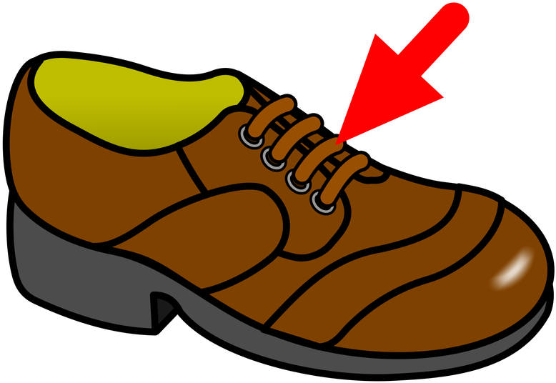 Picture Clipart (800x800), Png Download