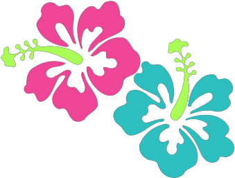 Black Swirl, Bright Hibiscus Png Icons - Transparent Background Hibiscus Flower Clipart (600x600), Png Download