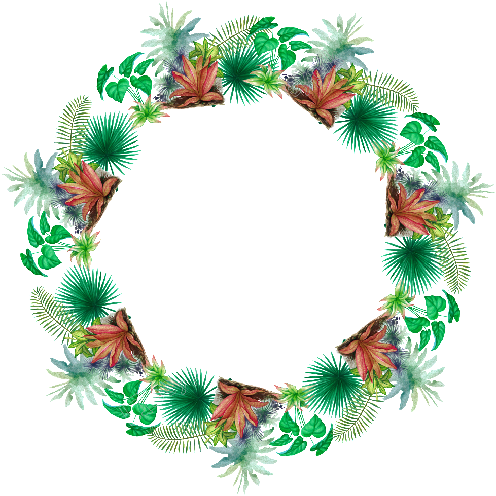 Wreath Images Clip Art - Png Download (978x979), Png Download