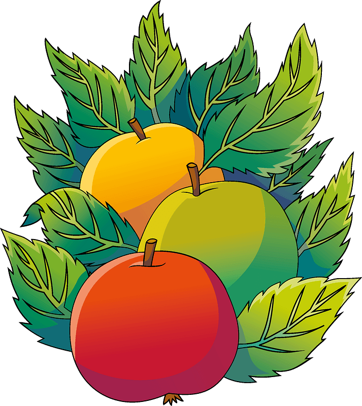 Apples Clipart - Seedless Fruit - Png Download (713x800), Png Download