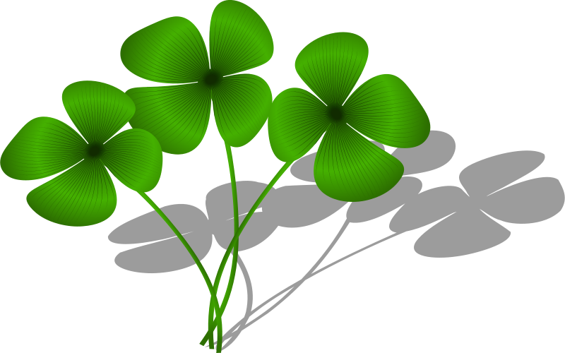 Transparent Background Four Leaf Clovers Clipart - Png Download (800x500), Png Download