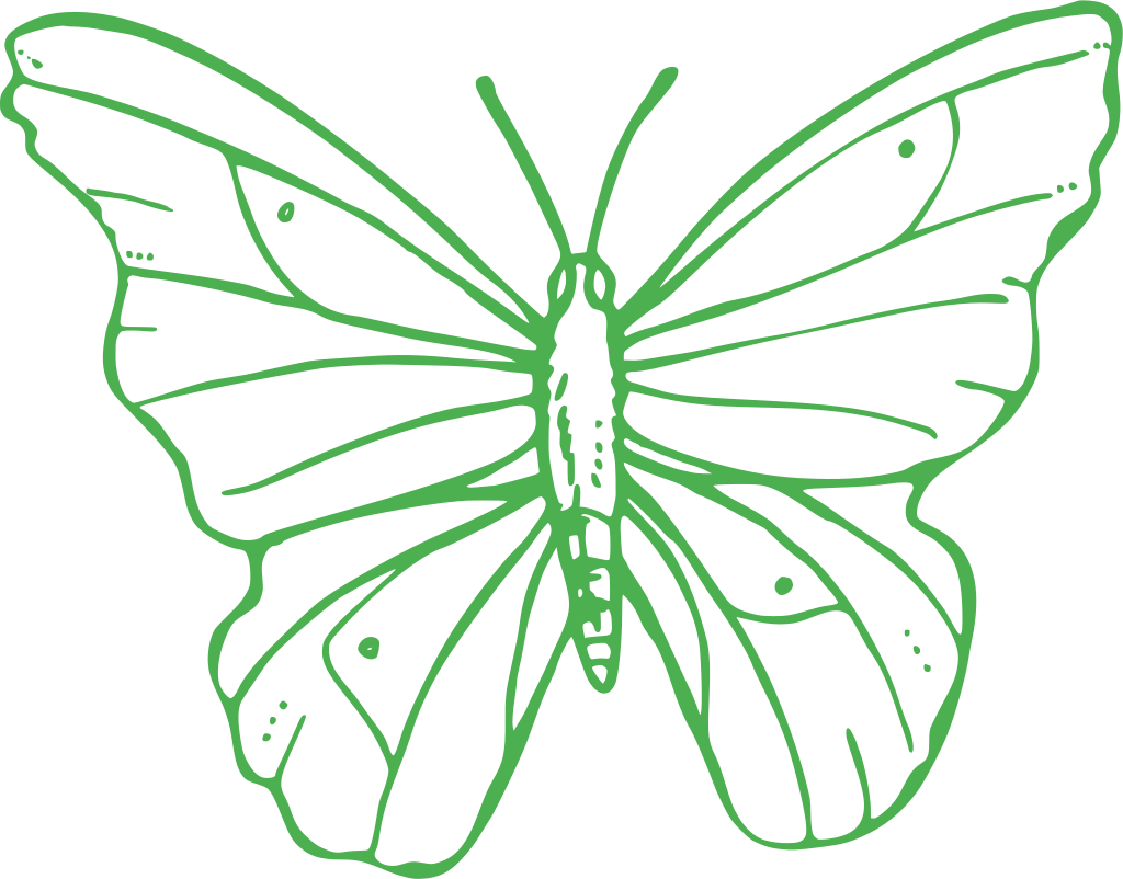Png Image Transparent Background Butterfly Clipart (1024x802), Png Download