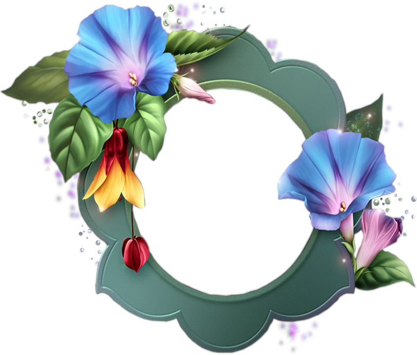Morning Glory Clipart (845x720), Png Download