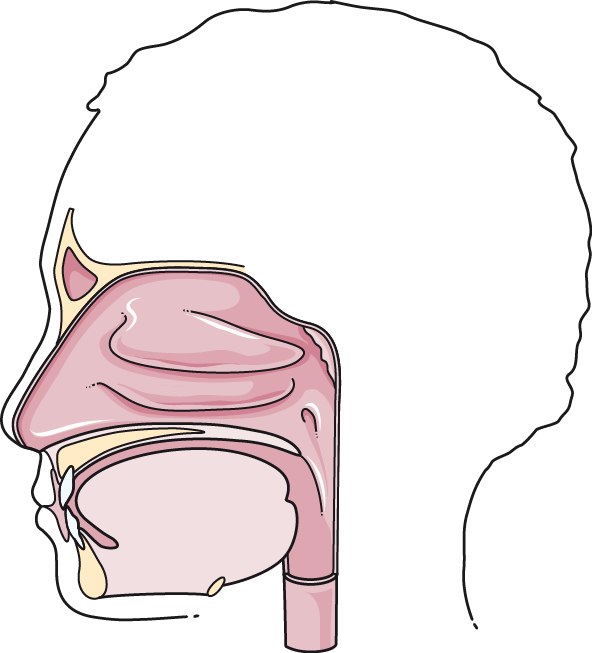 Clipart Mouth Bouche - Cartoon - Png Download (592x653), Png Download