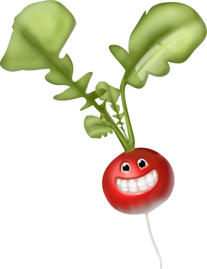 Happy Radish Clipart (686x889), Png Download