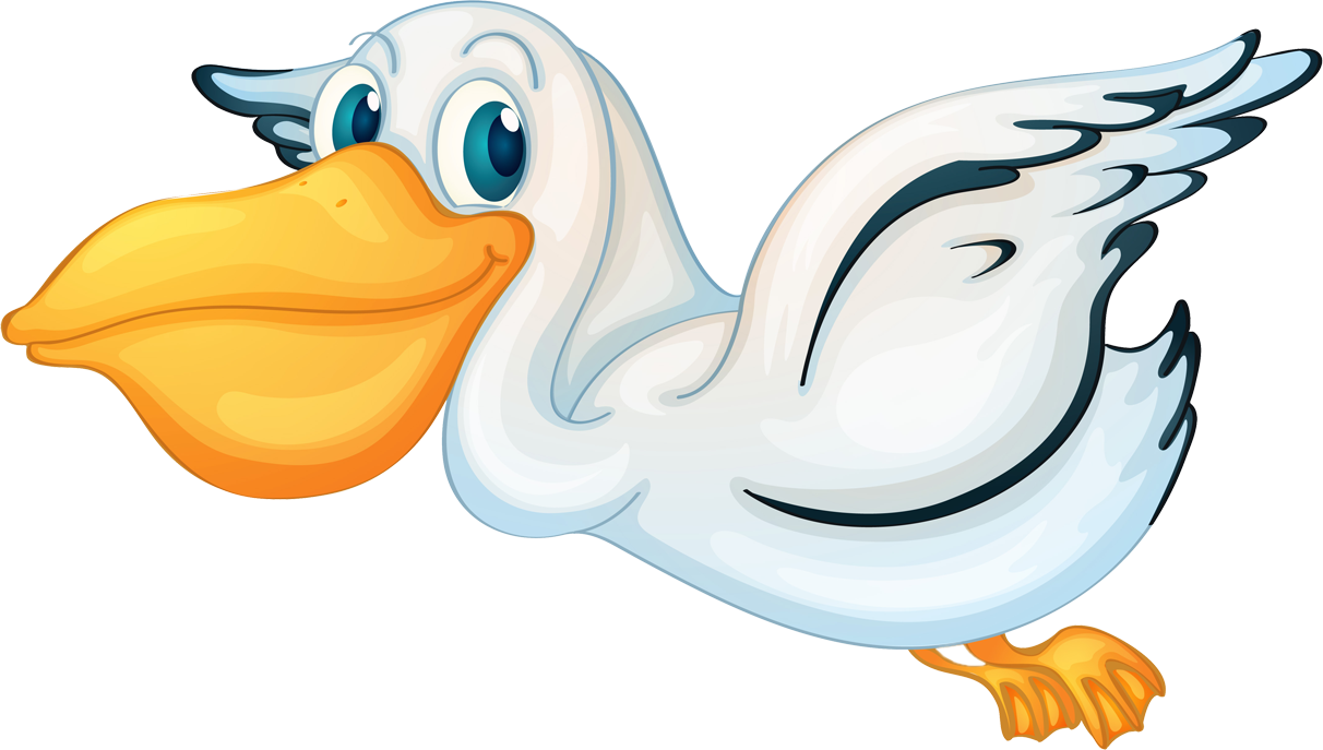  pelikanbilder Png - Pelican Clipart Transparent Background (1212x687), Png Download