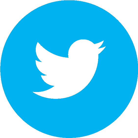 Twitter Png Clipart (592x591), Png Download