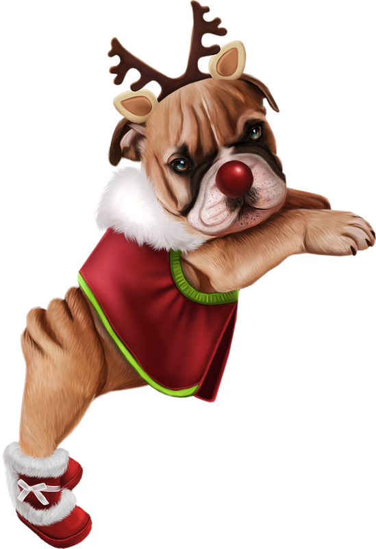 Chiens De Noel Transparent Clipart (549x800), Png Download