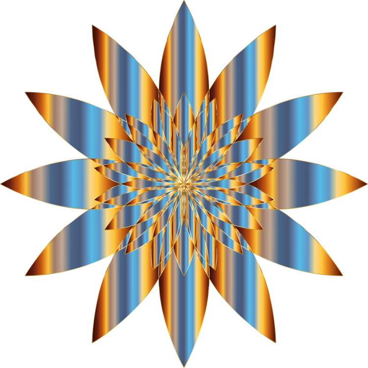 Flower,symmetry,line - Clip Art - Png Download (750x750), Png Download