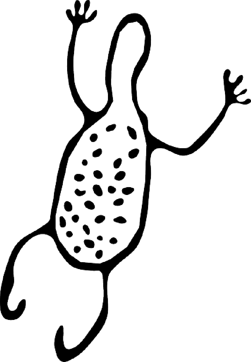 Petroglyph, Australia, Ancient, Animal, Primitive - Vector Rock Art Clipart (800x1153), Png Download