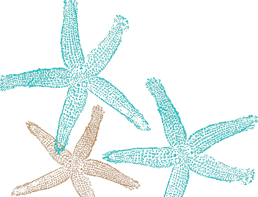 Cool Starfish Clipart Png Transparent Png (1024x1024), Png Download