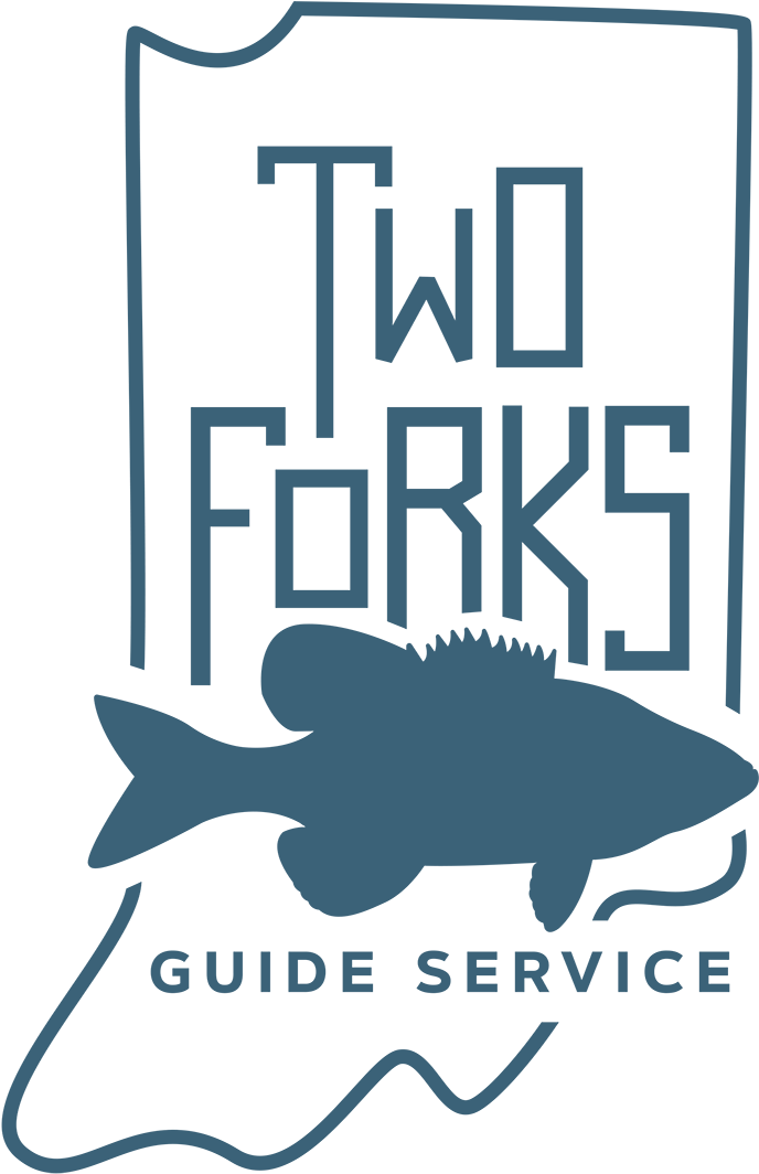 Clip Art - Png Download (800x1169), Png Download