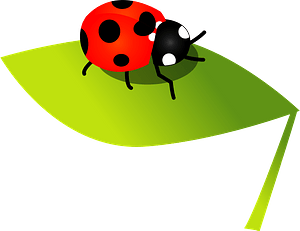 Seven Spot Ladybird Clipart - Ladybug - Png Download (300x231), Png Download