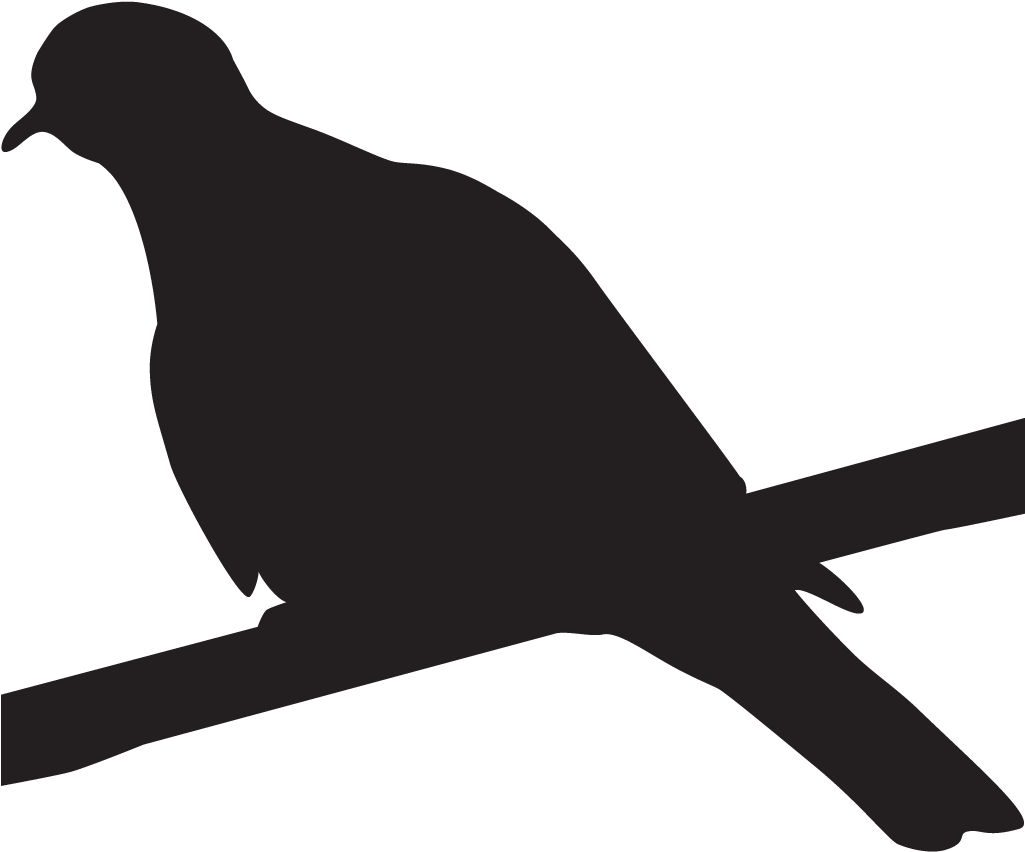 White Winged Dove Clipart Black And White Clip Art - White Winged Dove Silhouette - Png Download (1024x1024), Png Download