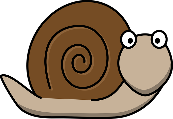 Clipart Pictures Of A Snail - Png Download (698x480), Png Download