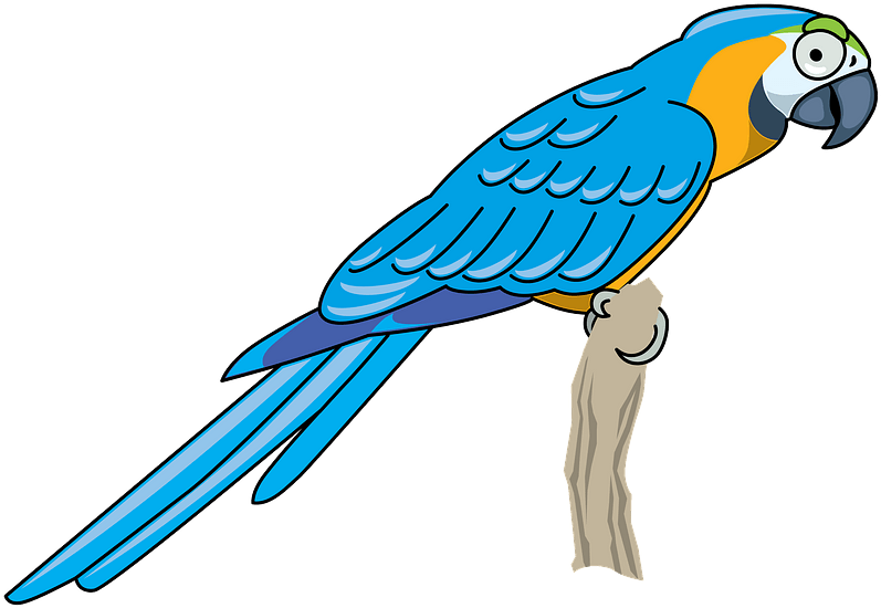 Parrot Clipart - Png Download (800x562), Png Download