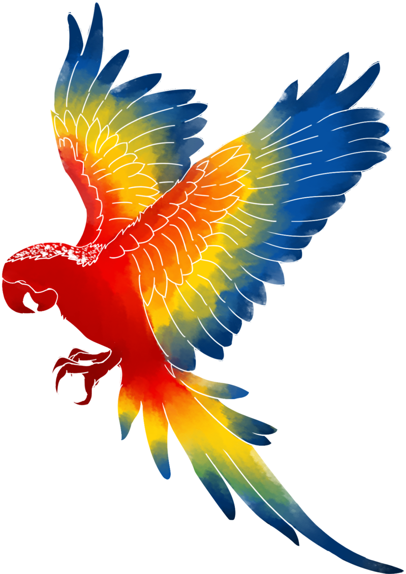 Macaw Beak Png - Brazilian Bird Png Clipart (1024x1131), Png Download