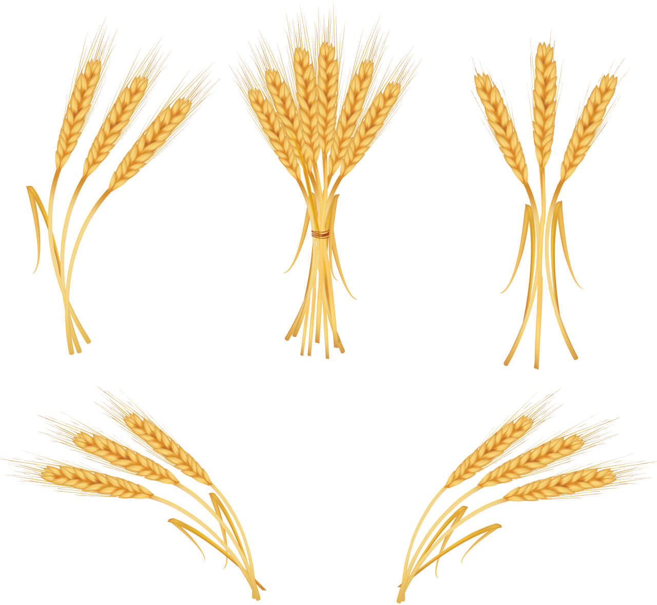 Wheat Png Image - Trigo Png Clipart (1280x1178), Png Download