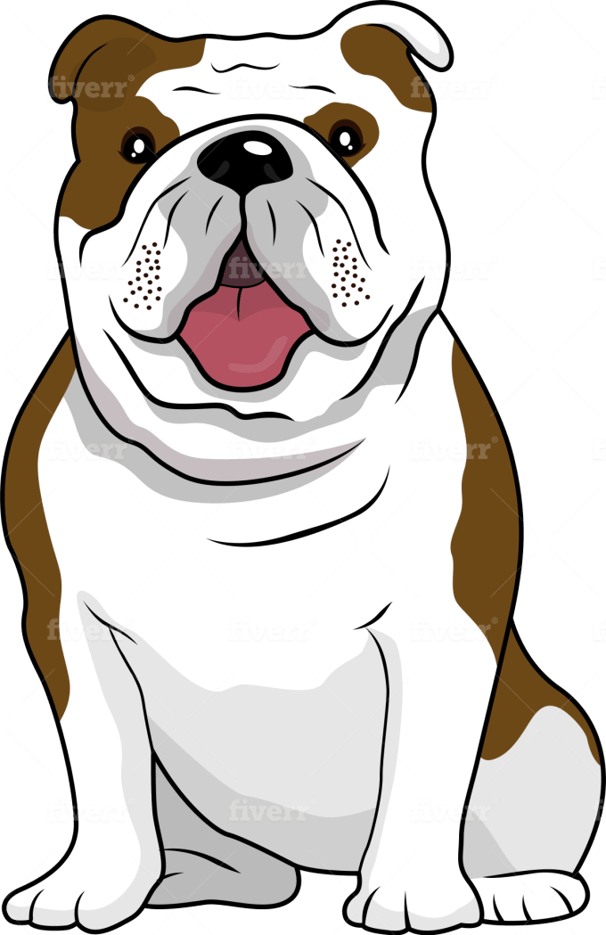 Australian Bulldog Clipart (680x1049), Png Download