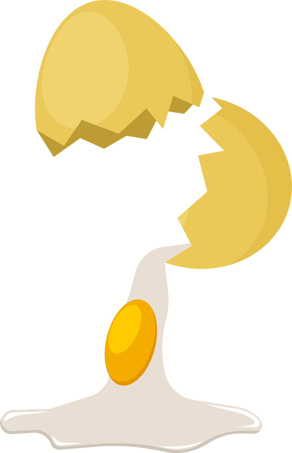 Clip Art - Png Download (1238x1920), Png Download