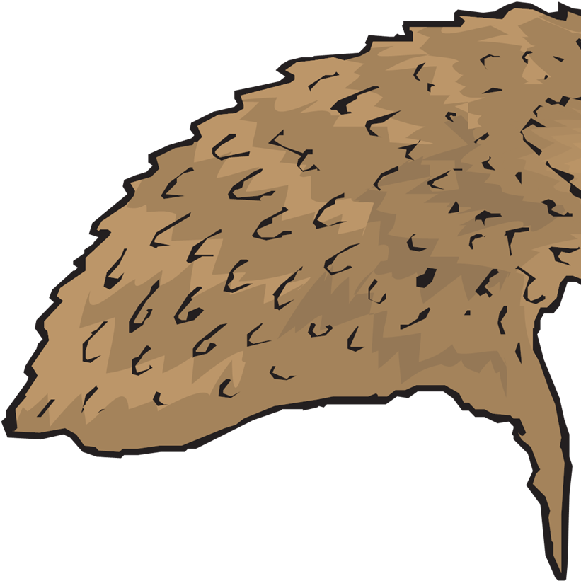 Eagle Clipart (1024x1024), Png Download