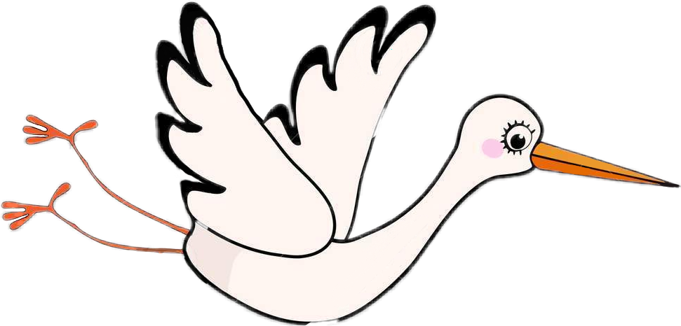 Clip Art - Png Download (971x466), Png Download