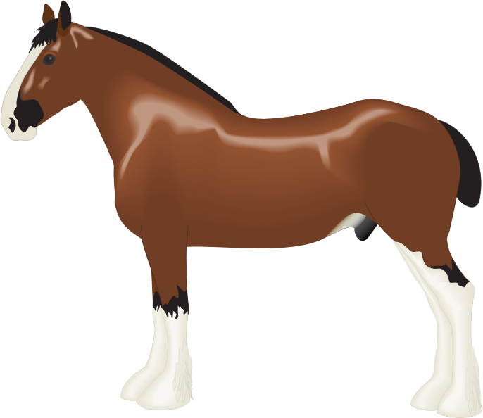 Clydesdale Horse Clipart - Png Download (686x594), Png Download