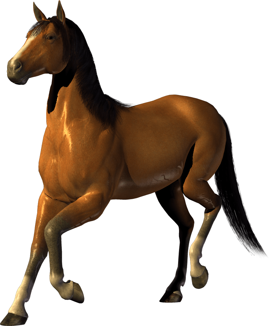 Horse Clip Art - Transparent Background Free Horse Clipart - Png Download (861x1041), Png Download