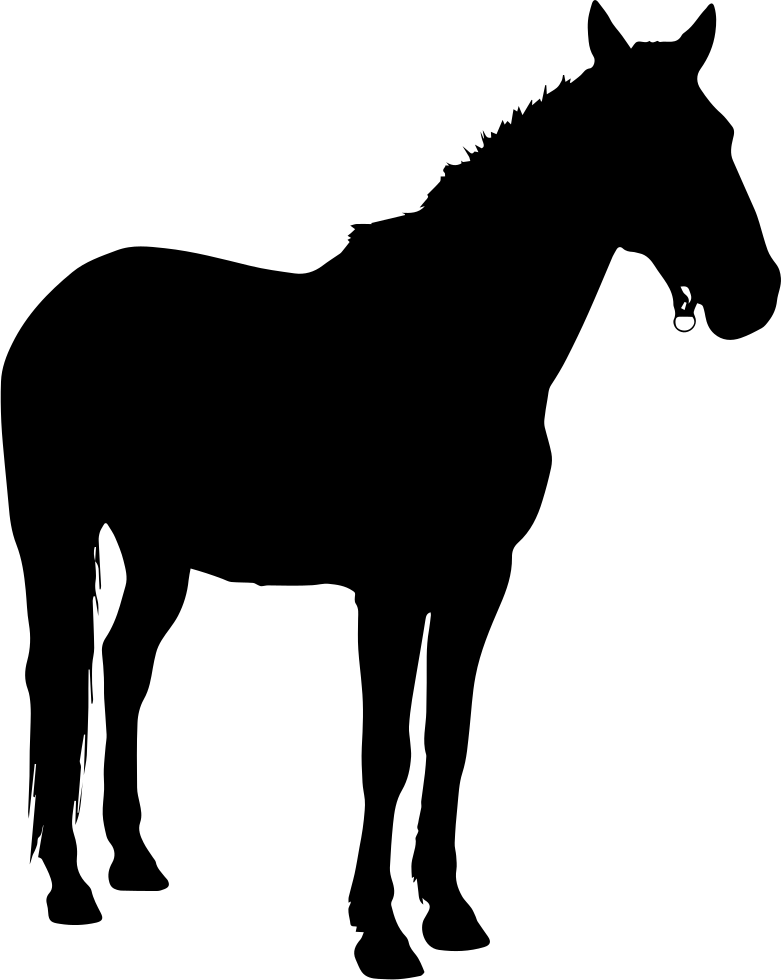 Pony Horse Silhouette Clip Art - German Wirehaired Pointer Silhouette - Png Download (781x980), Png Download