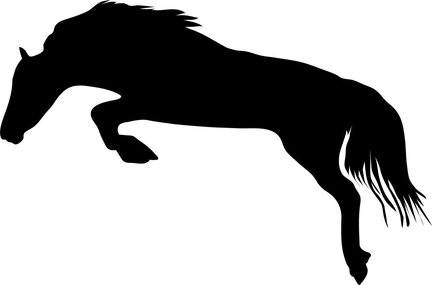 Stallion Clipart (1500x992), Png Download